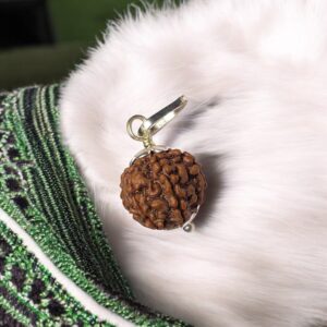 7 Mukhi Rudraksha Pendant