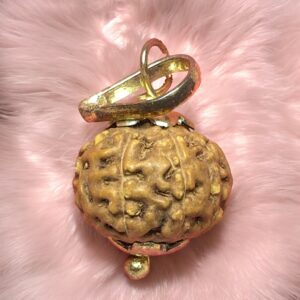8 Mukhi Rudraksha Pendant