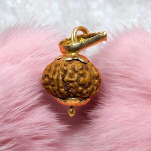 9 Mukhi Rudraksha Pendant