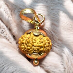 11 Mukhi Rudraksha Pendant