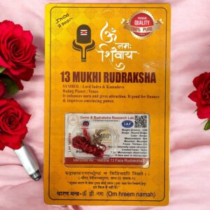 13 Mukhi Rudraksha Pendant